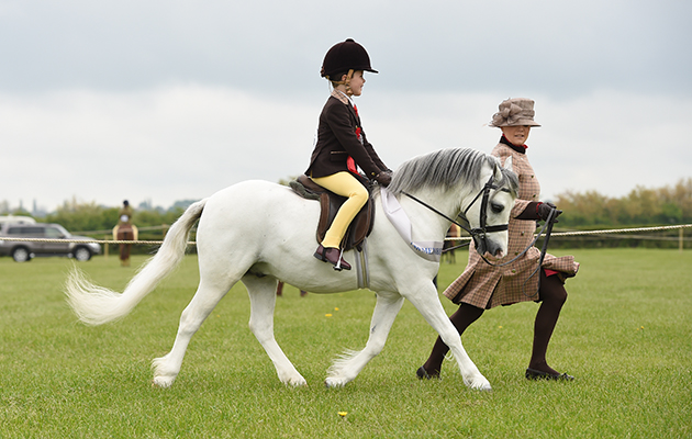 The Showing Register Spring Show 01 05 2017