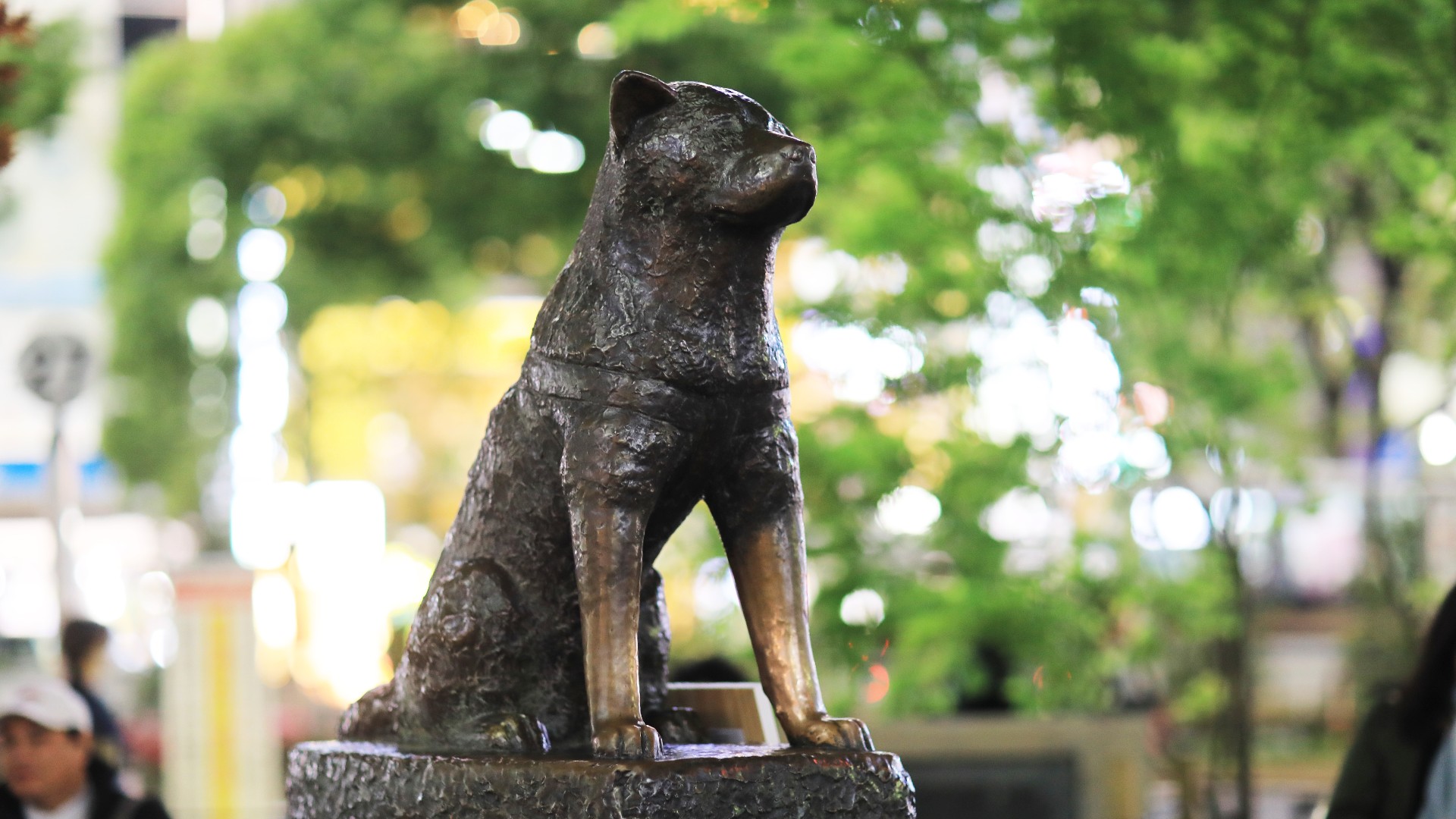 Statue of the loyal dog Hachiko in Tokyo, Japan.
