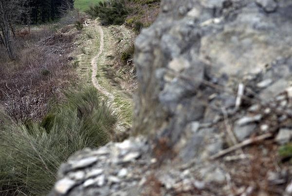 A typical Houffalize trail