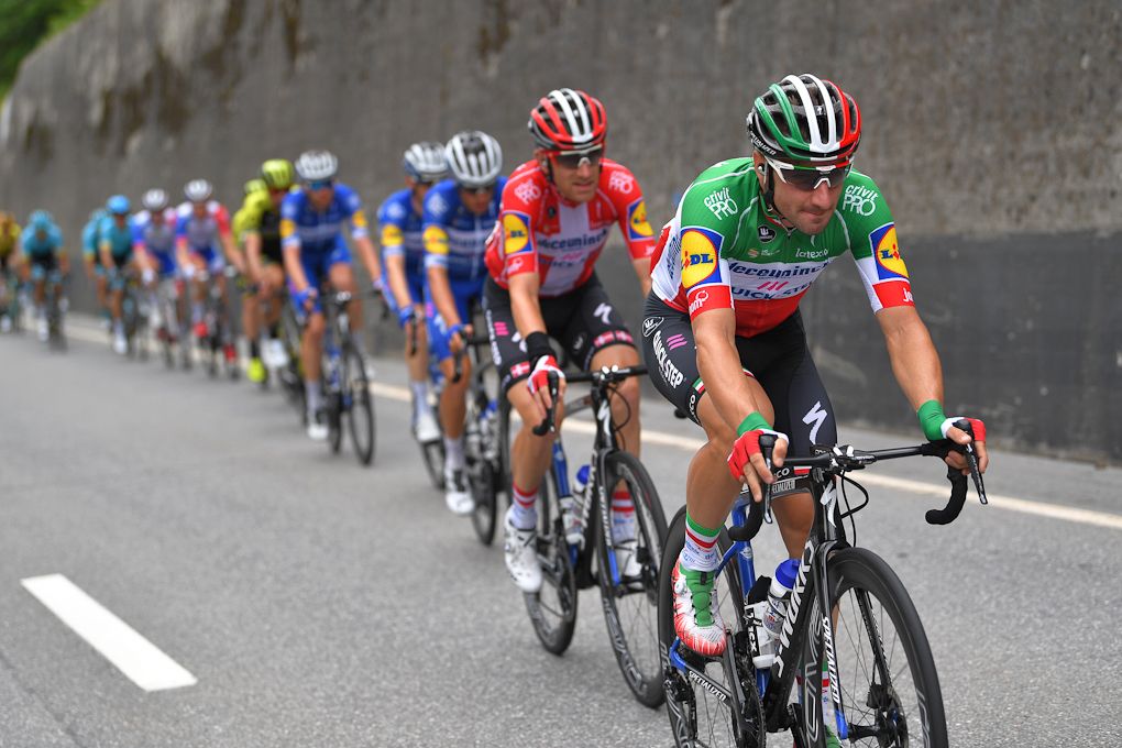 Elia Viviani in the bunch at Tour de Suisse
