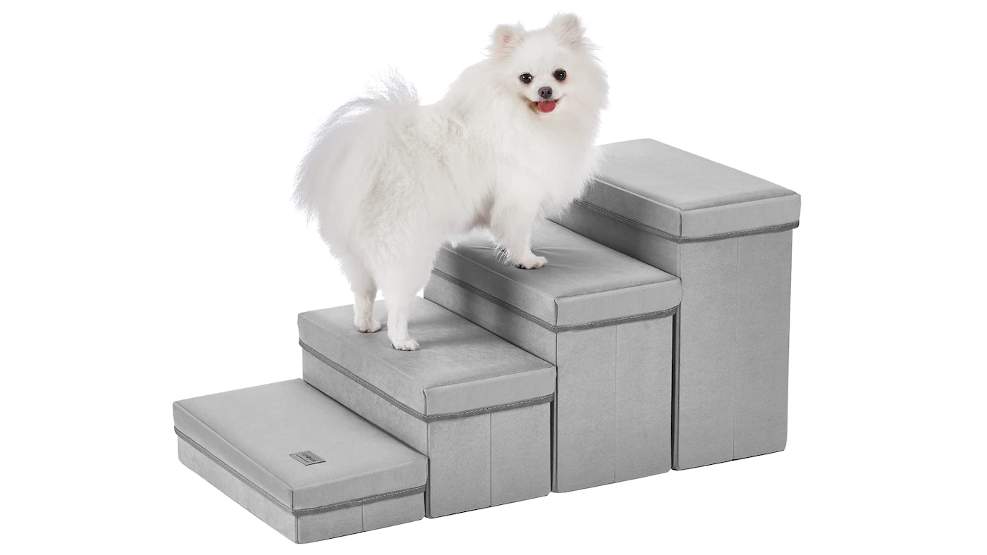 Neekor dog steps with white dog climbing up