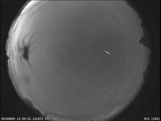 A NASA camera located near Tucson, Arizona, captured this image of a spider and a Perseid meteor on Aug. 5, 2019.
