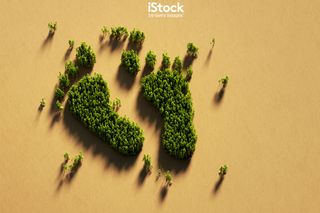 iStock by Getty Images