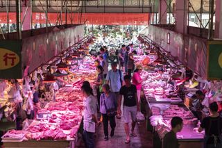 The Dancun Market, a wet market in Guangxi province, China, in September 2019.