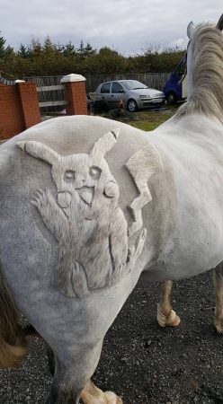 “This clip of Pikachu was done by Jillian Scott. It is on my granddaughter Elle’s pony Coco and she was thrilled with it” — Terena Stirling