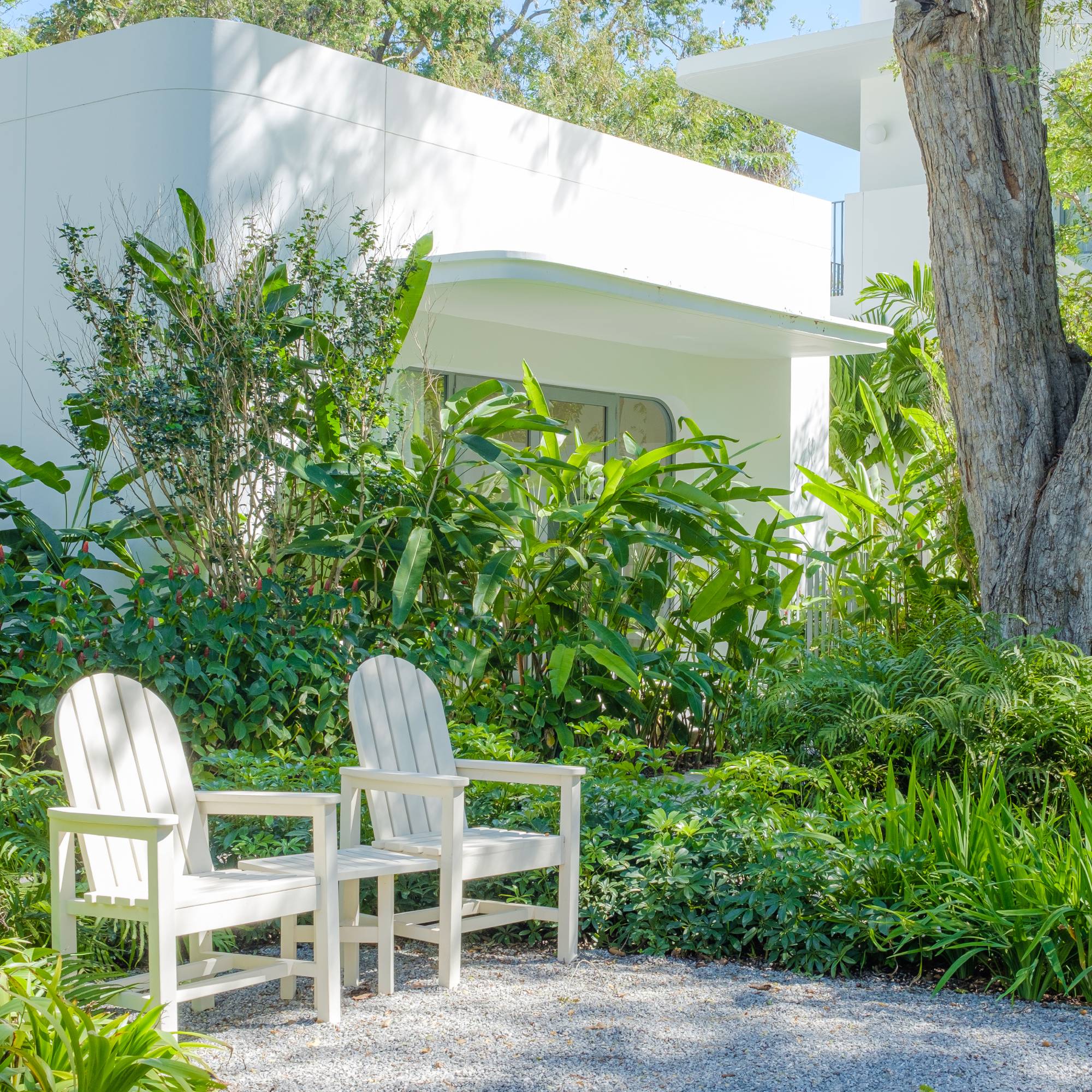 Cool oasis landscaping
