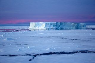 Antarctic Sea Ice