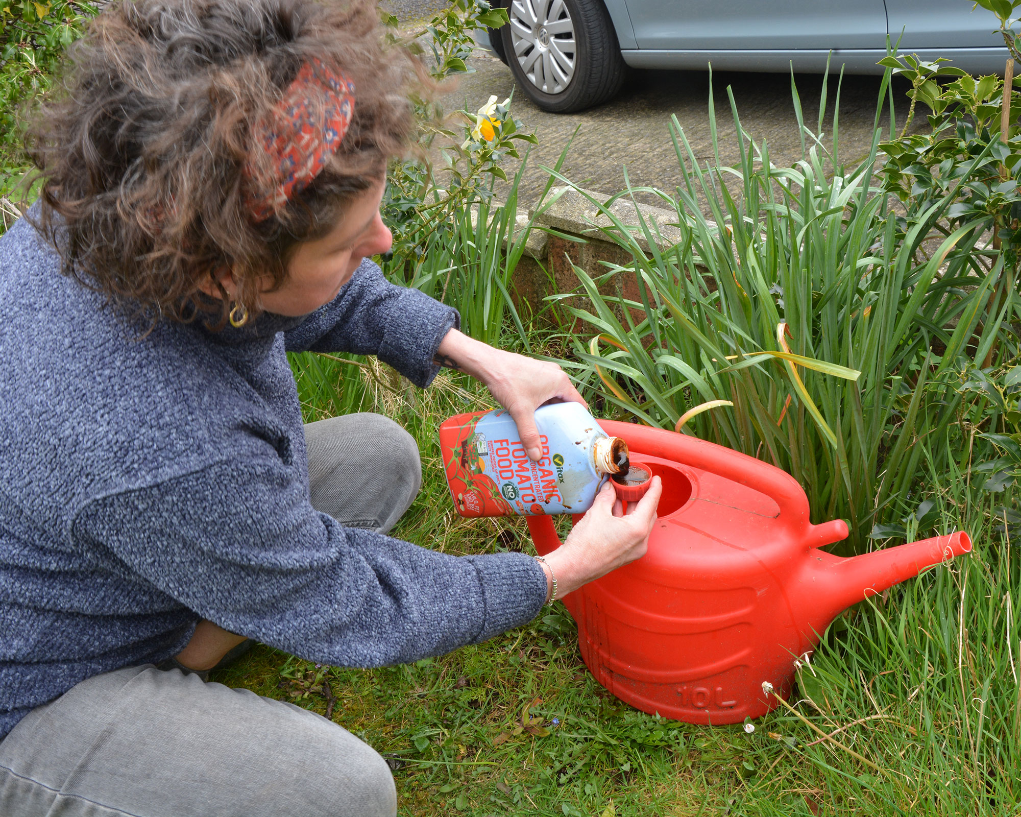 How to deadhead daffodils when and why to do it Gardeningetc