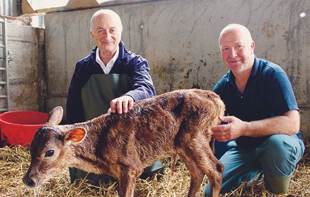 Tony Robinson is now 60 miles into his trek, and he’s leaving the Lake District behind.