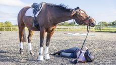 Falling_from_horse_4R2A6431-1.jpg