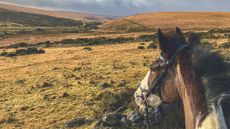 uk horse riding holiday