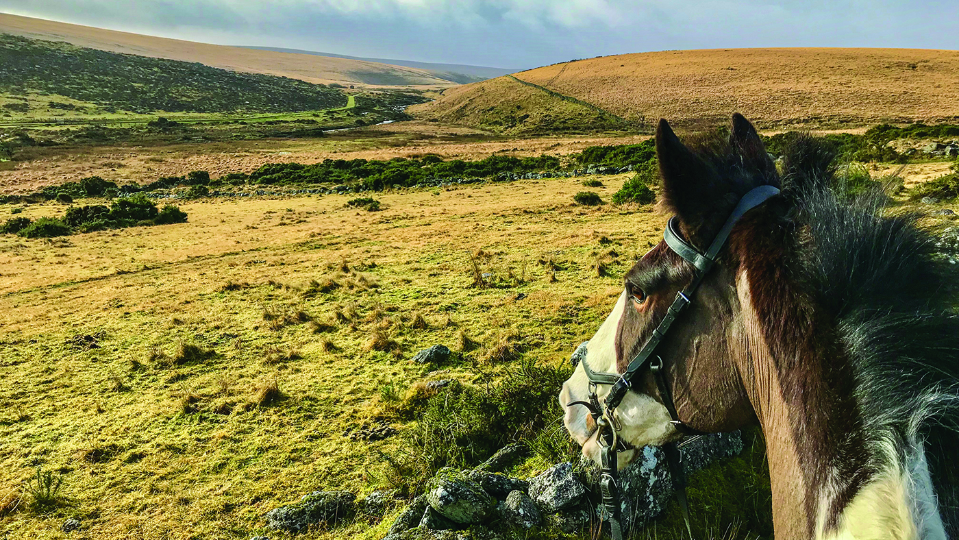 uk horse riding holiday