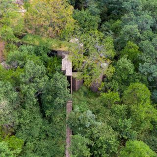 this brick house in South Africa is hidden within a thick forest