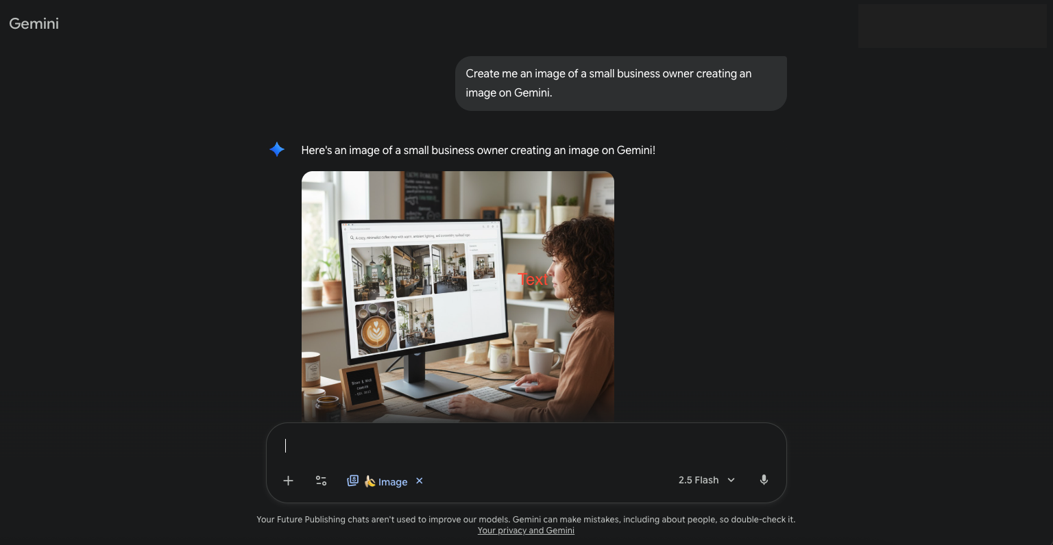 Screen shot of a small business owner working on a computer, created by Google Gemini