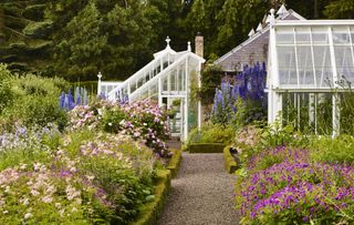 Three greenhouses surrounding a country cottage, with pink flowers and tall delphiniums.