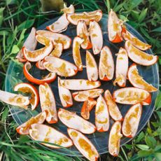 orange peel on the grass - Trista Lam - GettyImages-1477433364