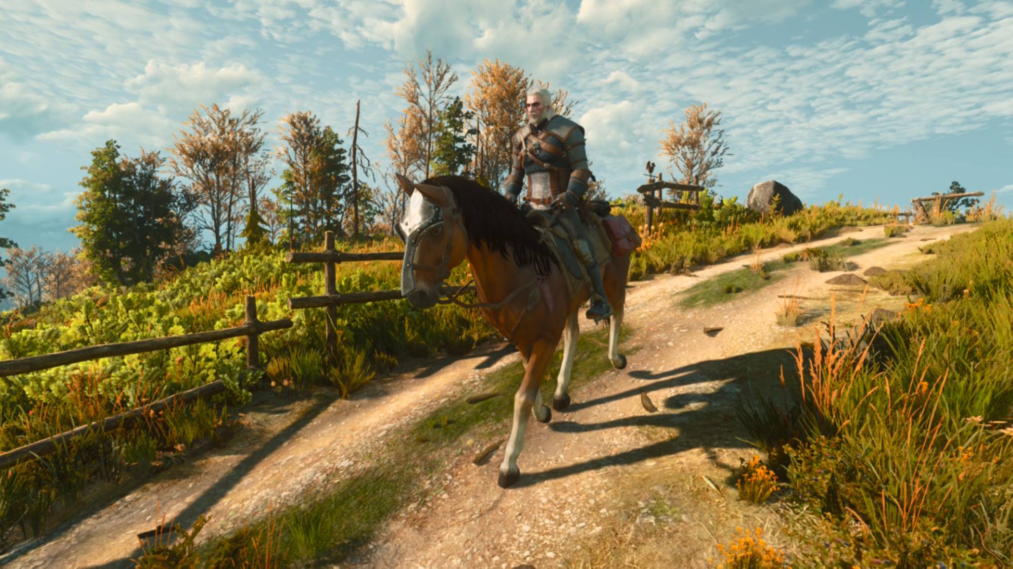 The Witcher 3: Wild Hunt &amp;ndash; Remastered screenshot taken on Nintendo Switch 2