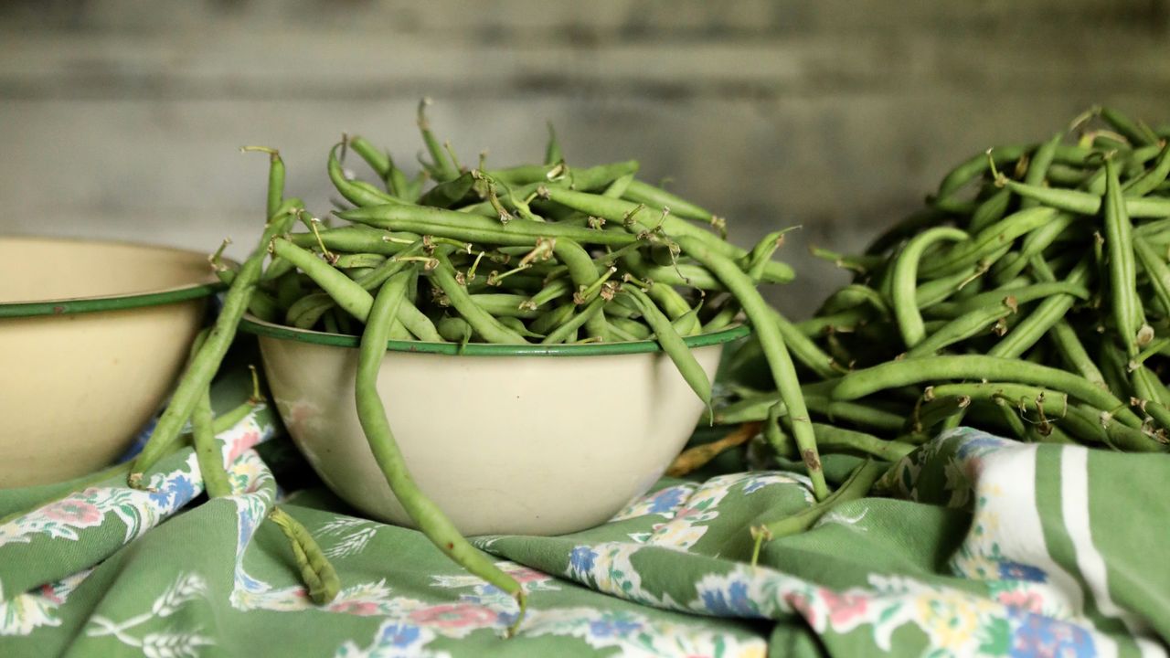 Monty Don’s French Bean growing tips