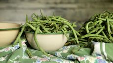 Monty Don’s French Bean growing tips