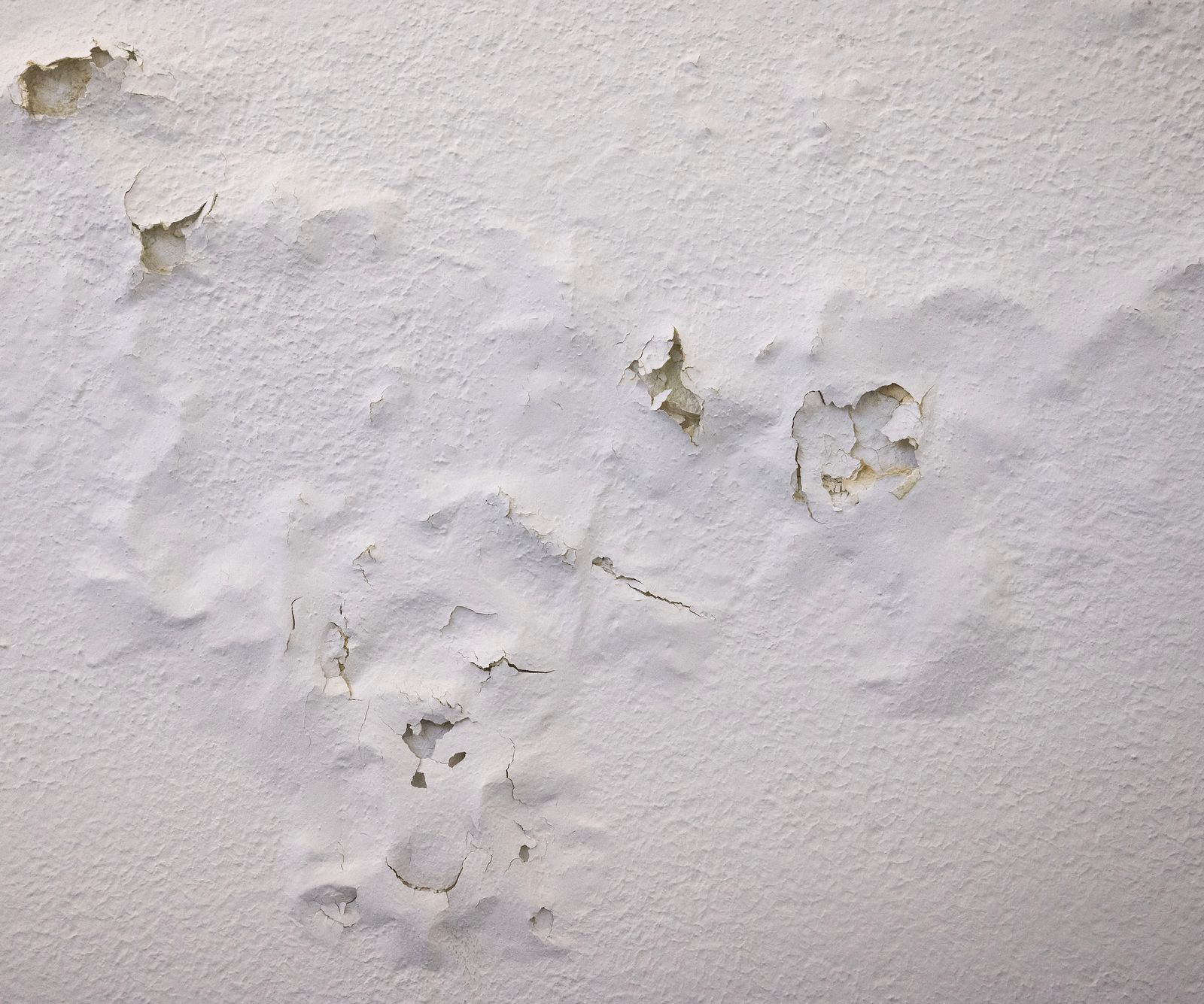 Why does my bedroom smell musty? Cleaning pros offer insight Real Homes