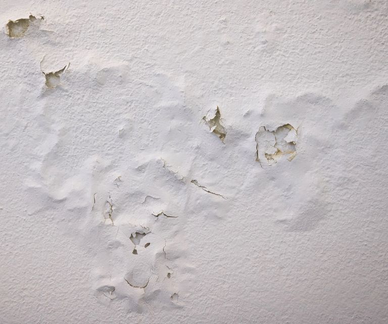 Why does my bedroom smell musty? Cleaning pros offer insight Real Homes