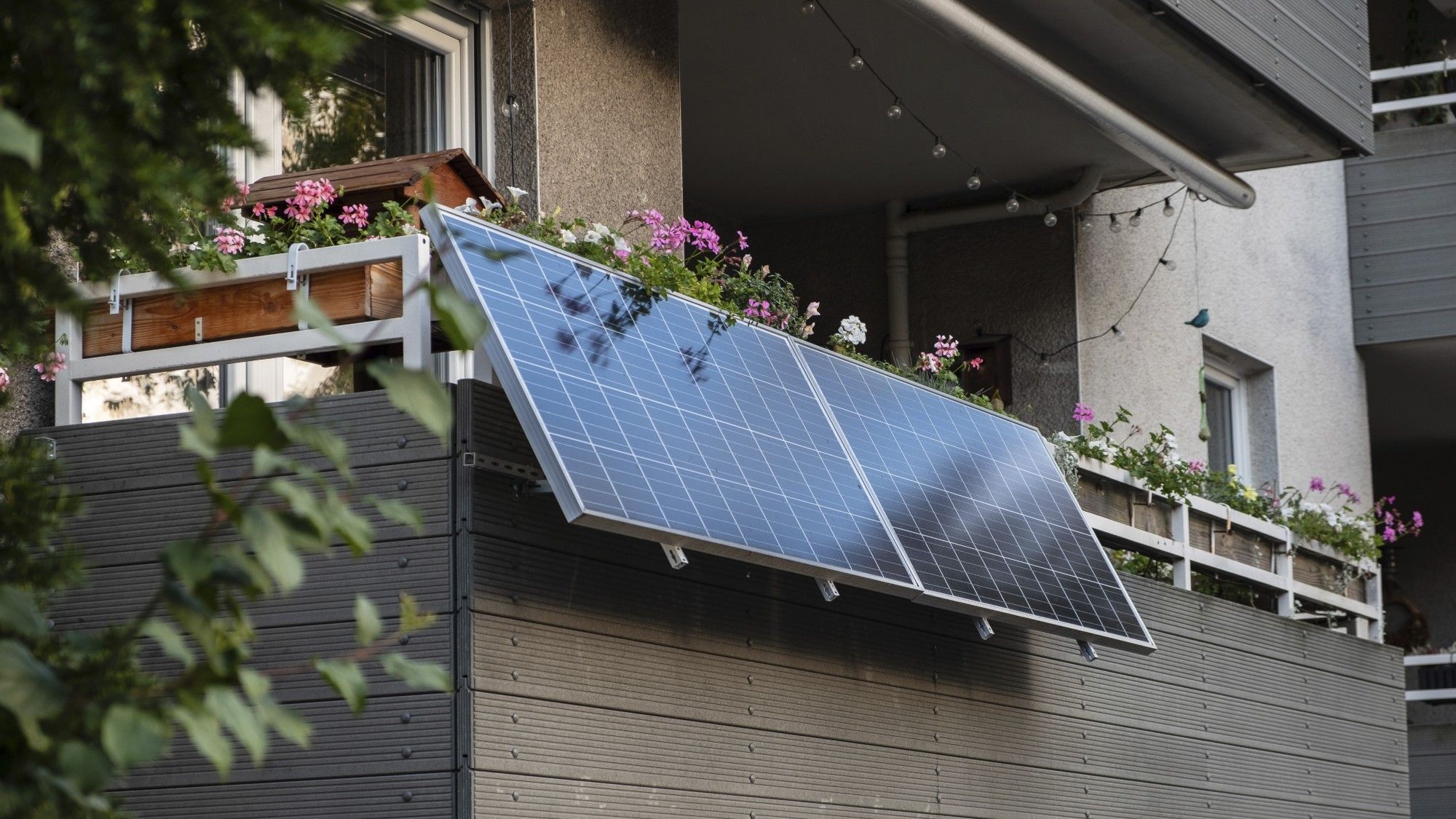 theweek.com - Marc Shoffman, The Week UK - How much could you save with supermarket plug-in solar panels?