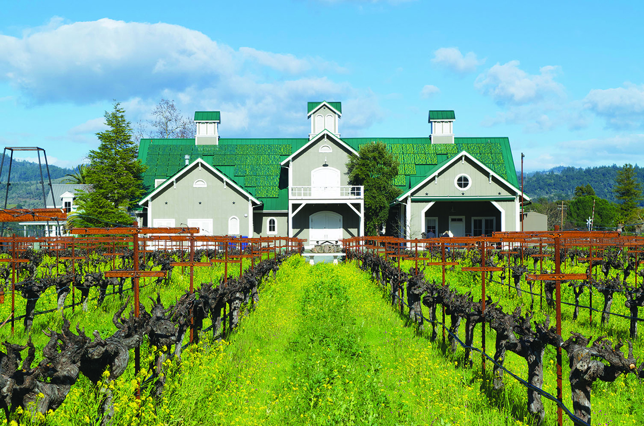 At Corison, solar panels bedeck the winery roof and mustard grows among the vines in the Kronos vineyard