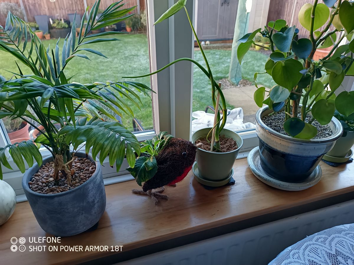 Photos taken with the Ulefone Armor 18T