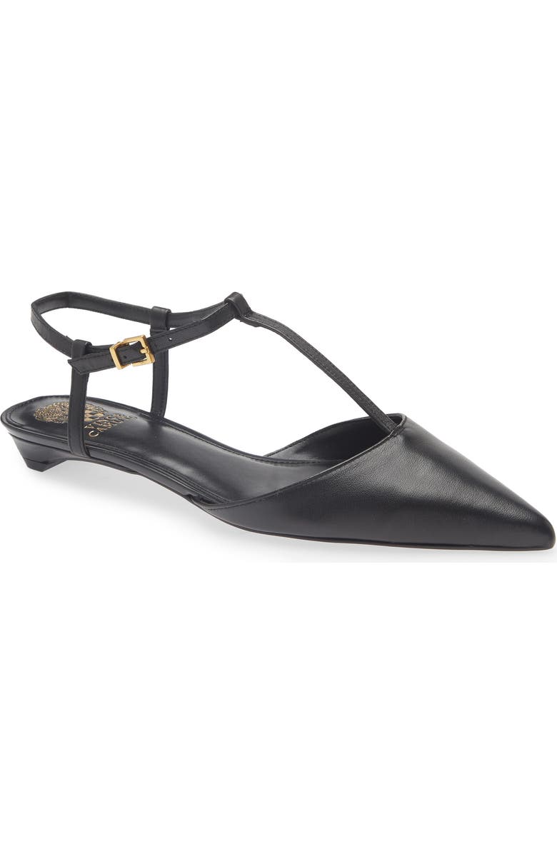 Varena Ankle Strap Pointed Toe Flat