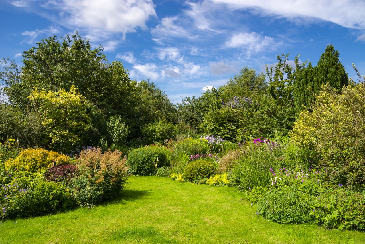 A garden in the sunshine with shrubs, flowers and trees