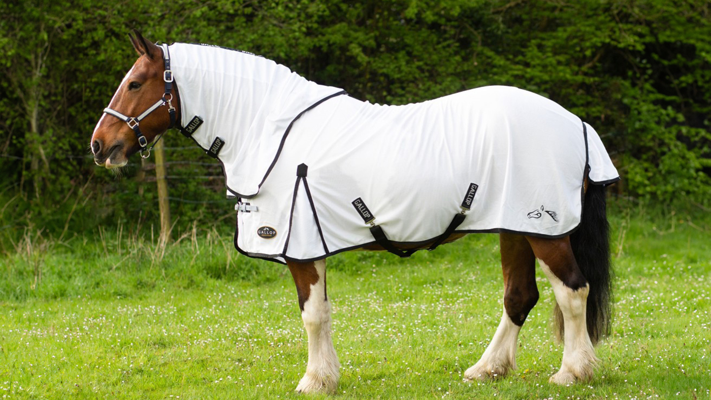 Gallop Dual 5-Point Fly Rug &amp;amp; Neck Set