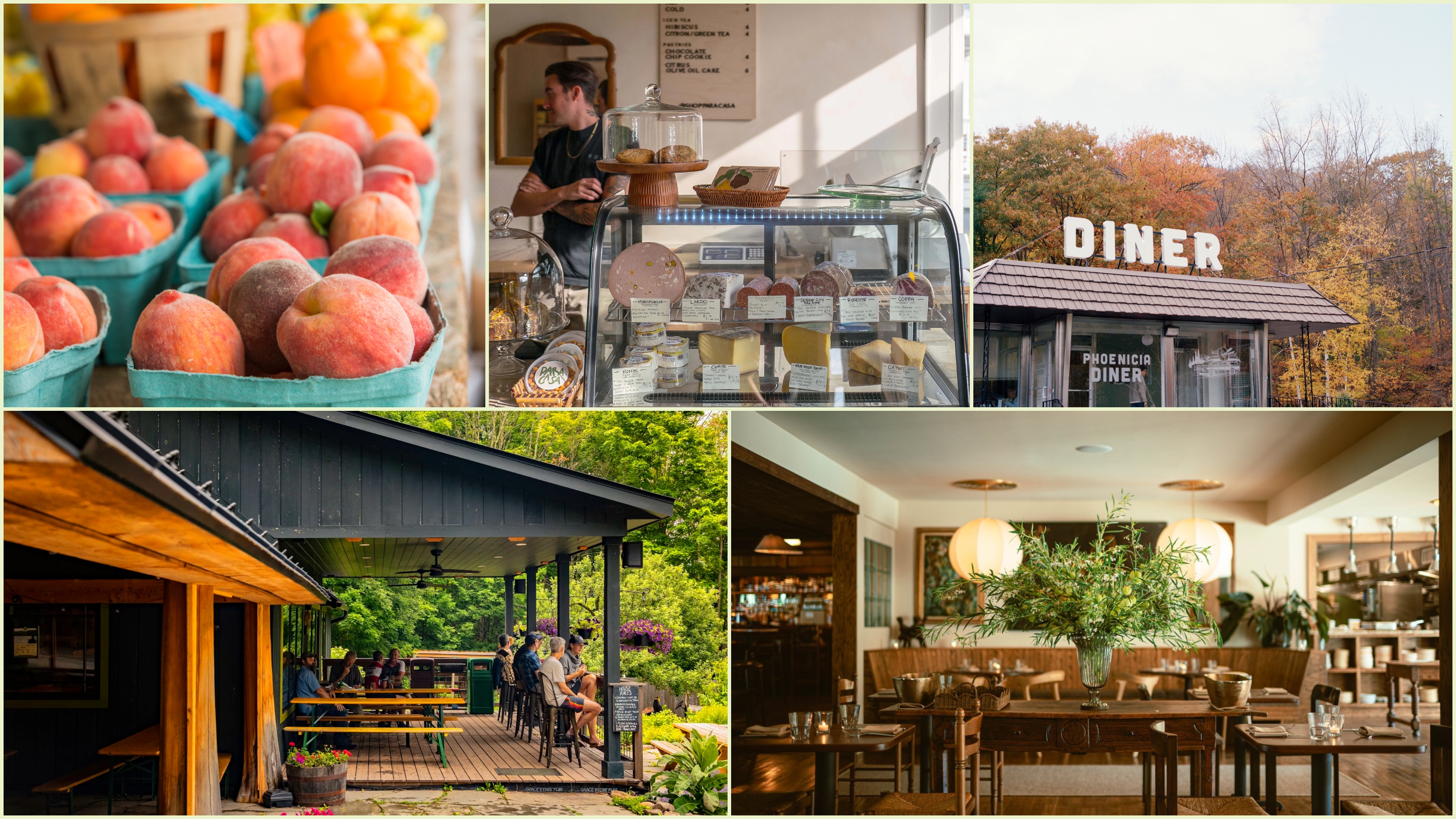 Scenes from the Northern Catskills