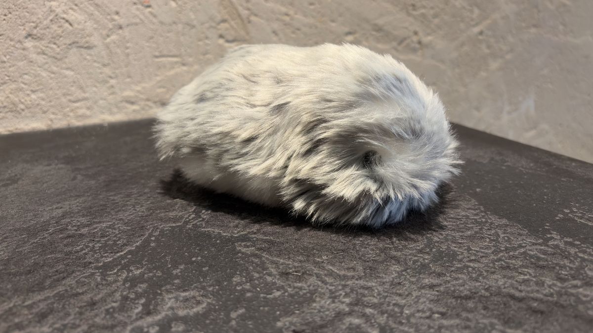 72 hours with Casio’s AI-powered Moflin pet - my dog hates it, my wife hates it, but I love it