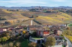 Looking towards Castiglione Falletto