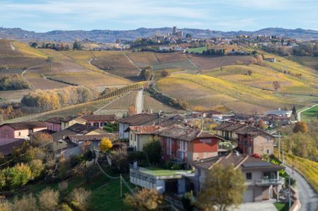 Looking towards Castiglione Falletto