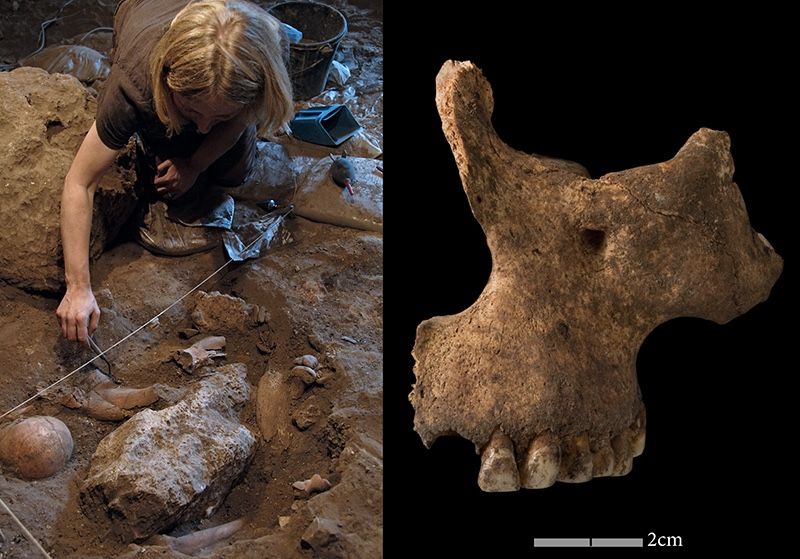 Louise Humphrey of the Natural History Museum excavates one of the ancient Moroccan skeletons.