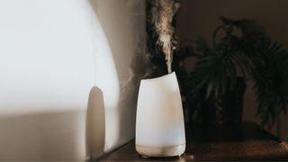 humidifier in room with plants