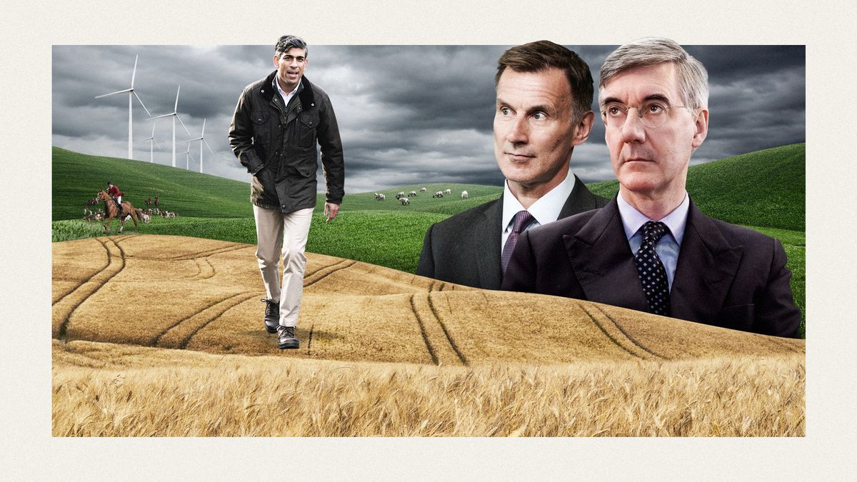 Why Is Rural England Turning Its Back On The Tories The Week   UuGhKuwJSCJD2soLWsCdGU 1200 80 