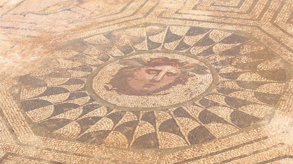 Here we see the ugly face of Medusa with thick facial features and wings coming out of her forehead in a mosaic. She is surrounded by an octagon, geometric patterns and a peacock. 