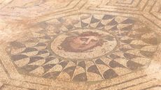 Here we see the ugly face of Medusa with thick facial features and wings coming out of her forehead in a mosaic. She is surrounded by an octagon, geometric patterns and a peacock. 
