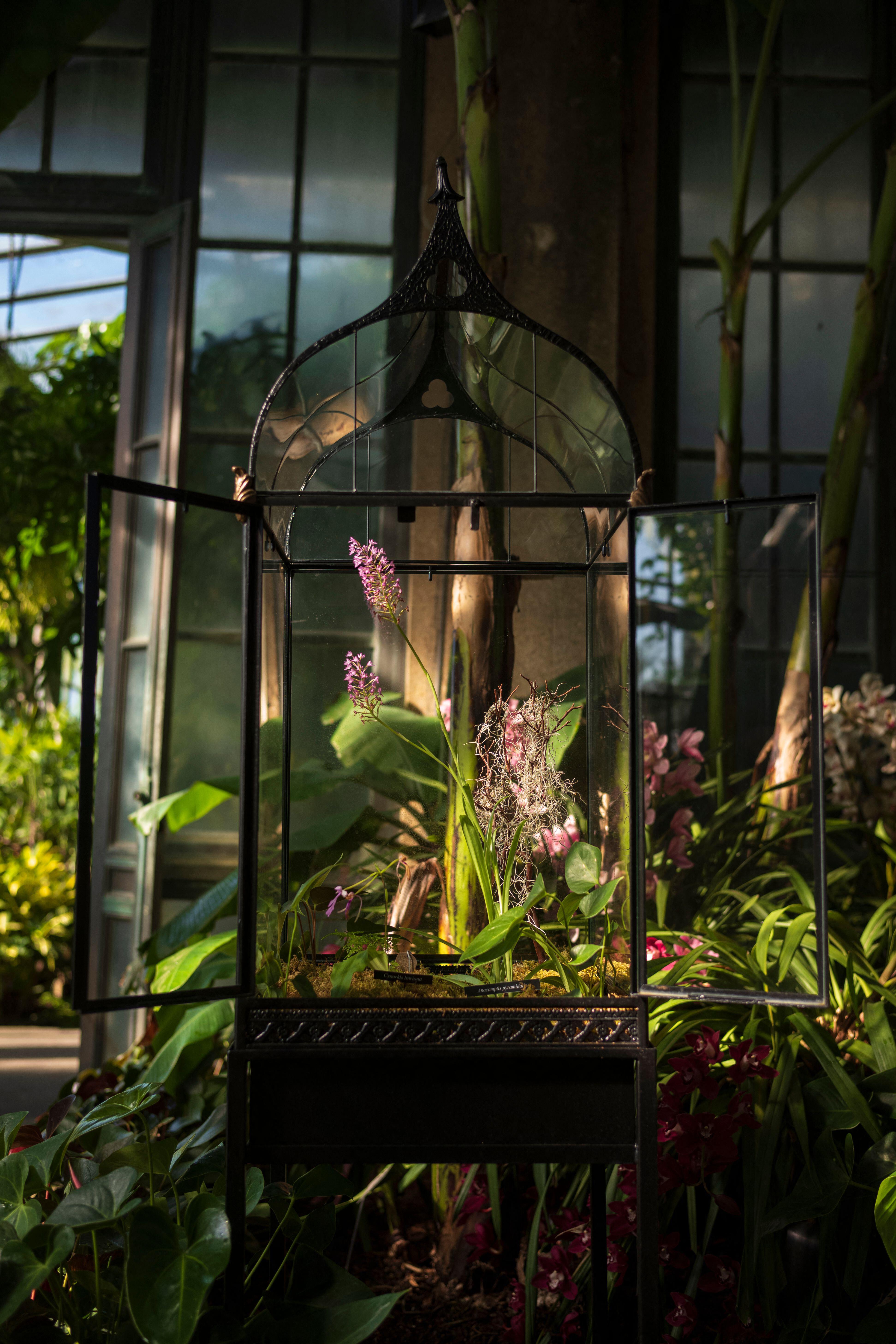 Terrariums