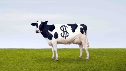 Pacer US Small Cap Cash Cows 100 ETF