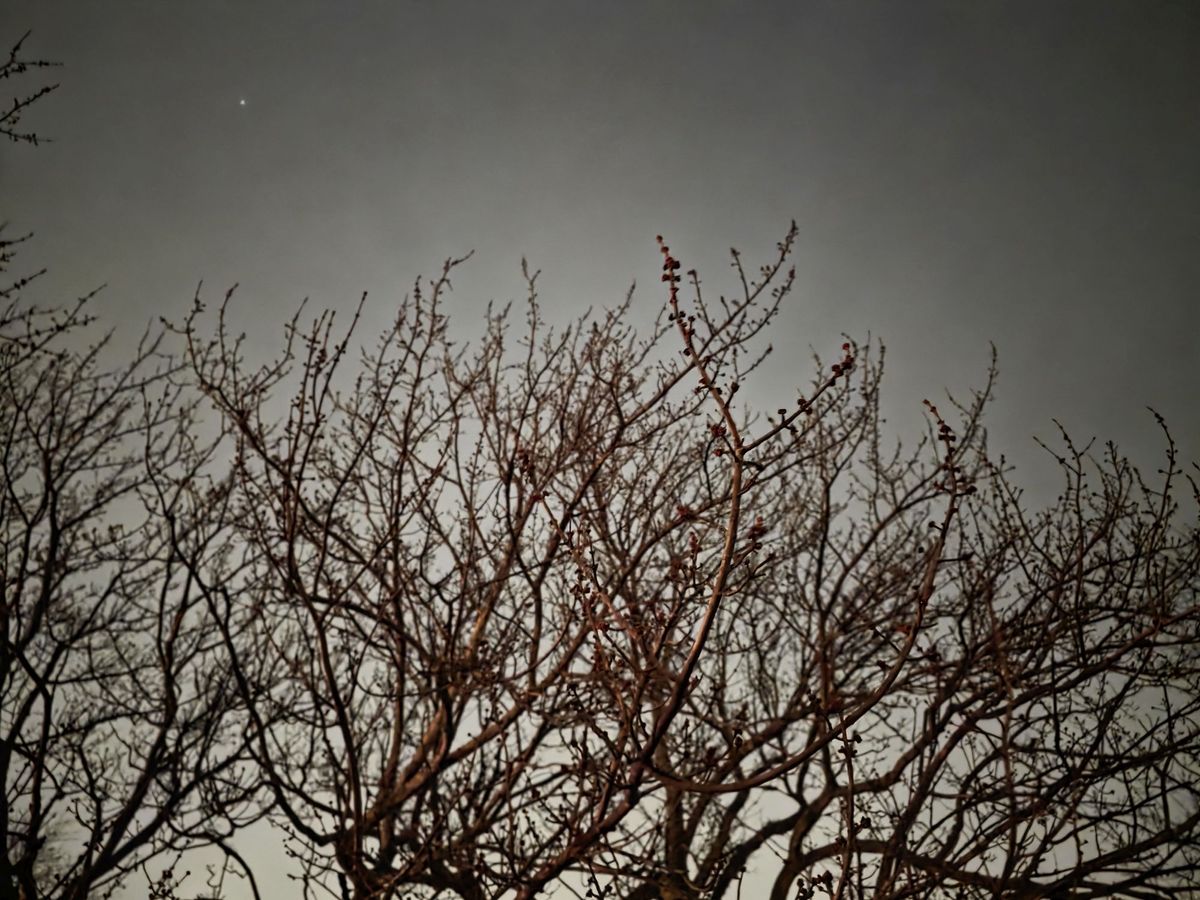 Samsung Galaxy S25 Ultra low light sample.