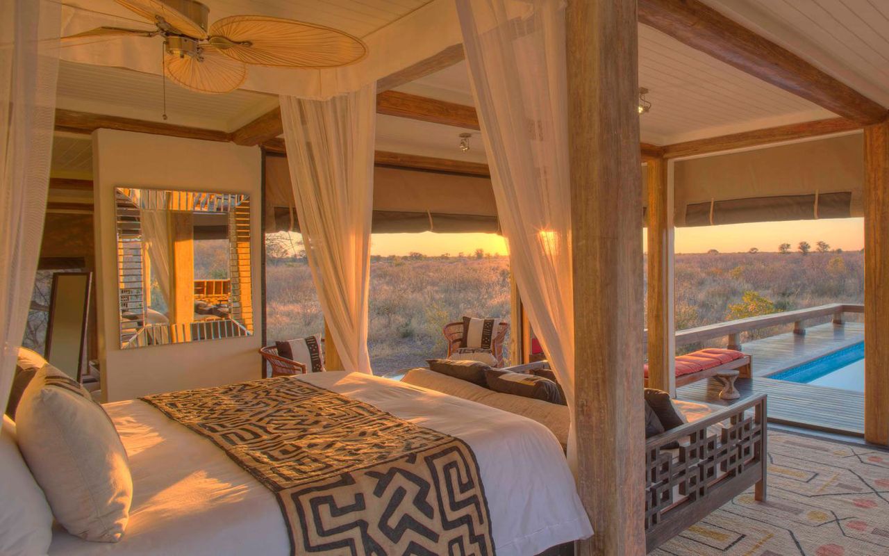 Feline Fields, Botswana