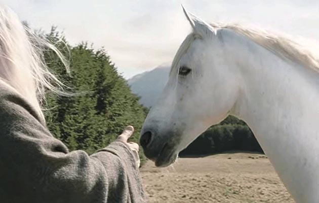 shadowfax.jpg