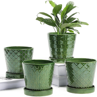 Plant Pots Indoor –5 inch Ceramic Flower Pot with Drainage Hole