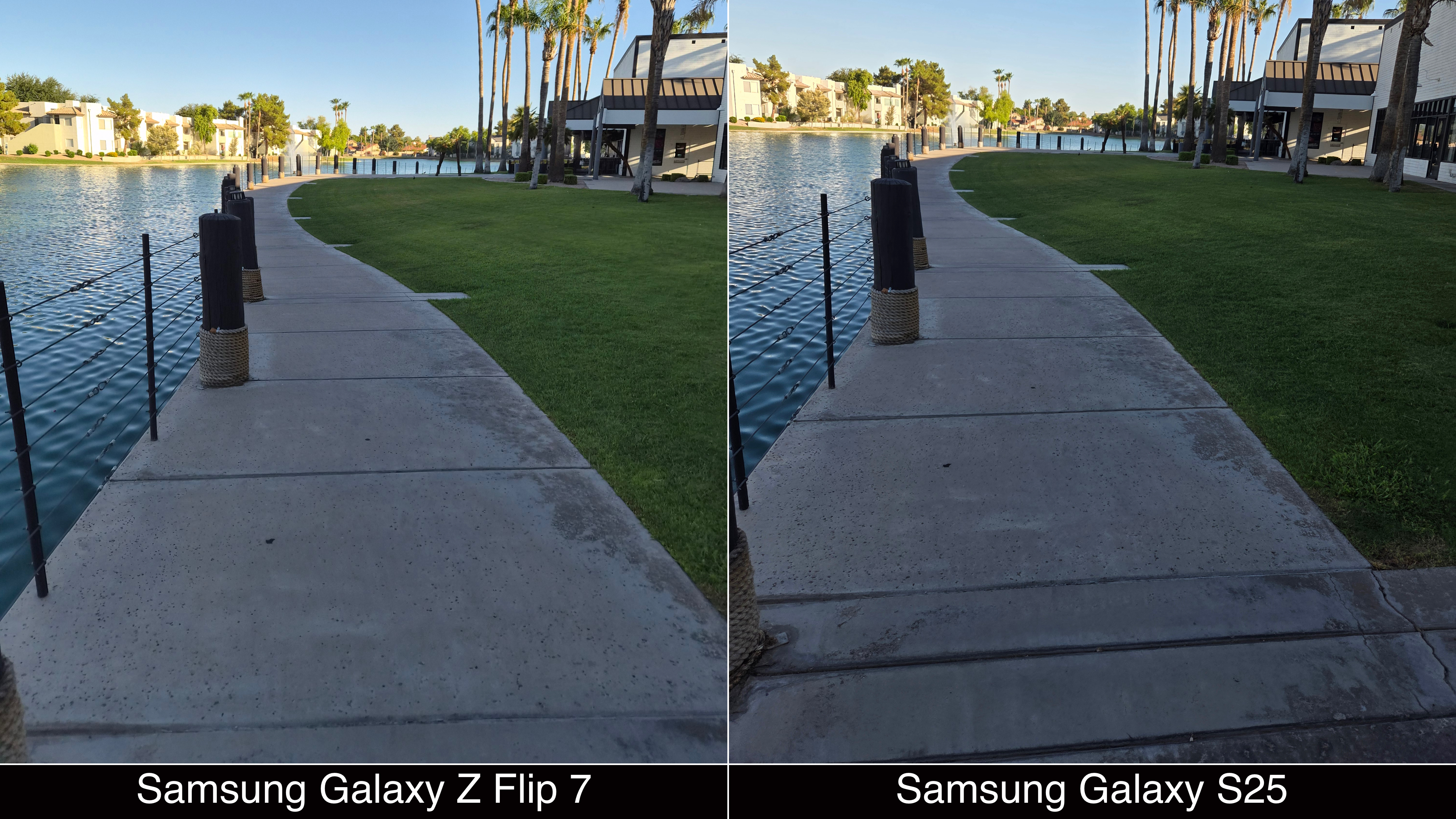 Shots captured with the Samsung Galaxy Z Flip 7 and Galaxy S25.