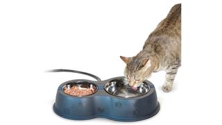 A cat drinking from the K&H Thermo-Kitty Cafe Bowl