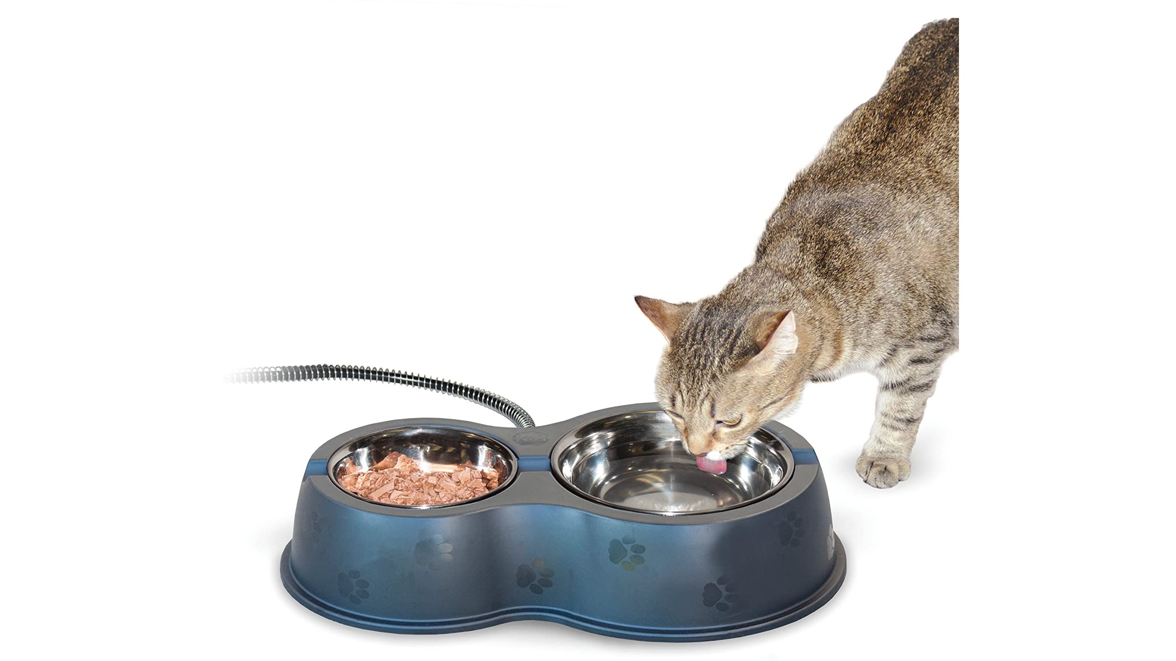 Best cat food bowl: A cat drinking from the K&H Thermo-Kitty Cafe Bowl