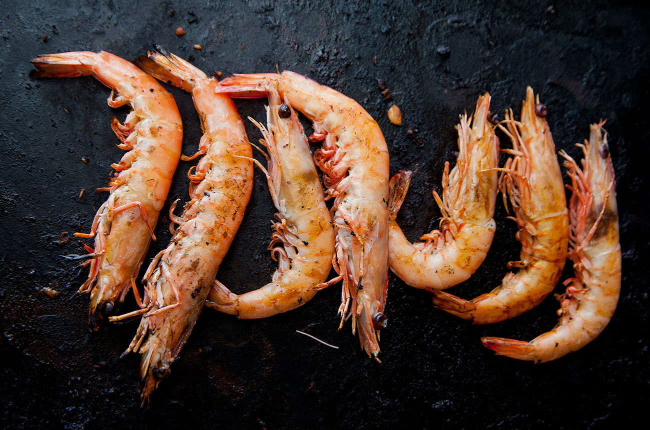 prawns, south australia